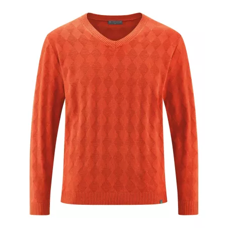 V-neck sweater in Hemp eco manager for men