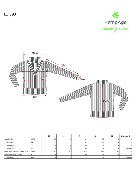 Maglia geometrica del modello