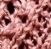 knitted sienna